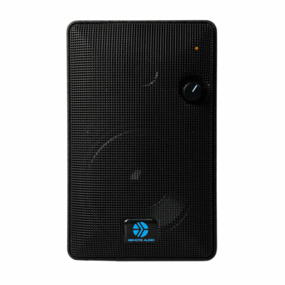 Remote Audio Speakeasy v4BT