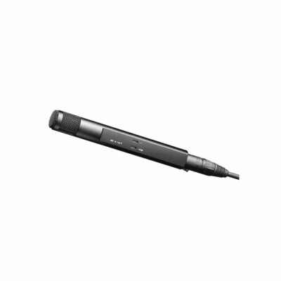 Sennheiser MKH 30-P48