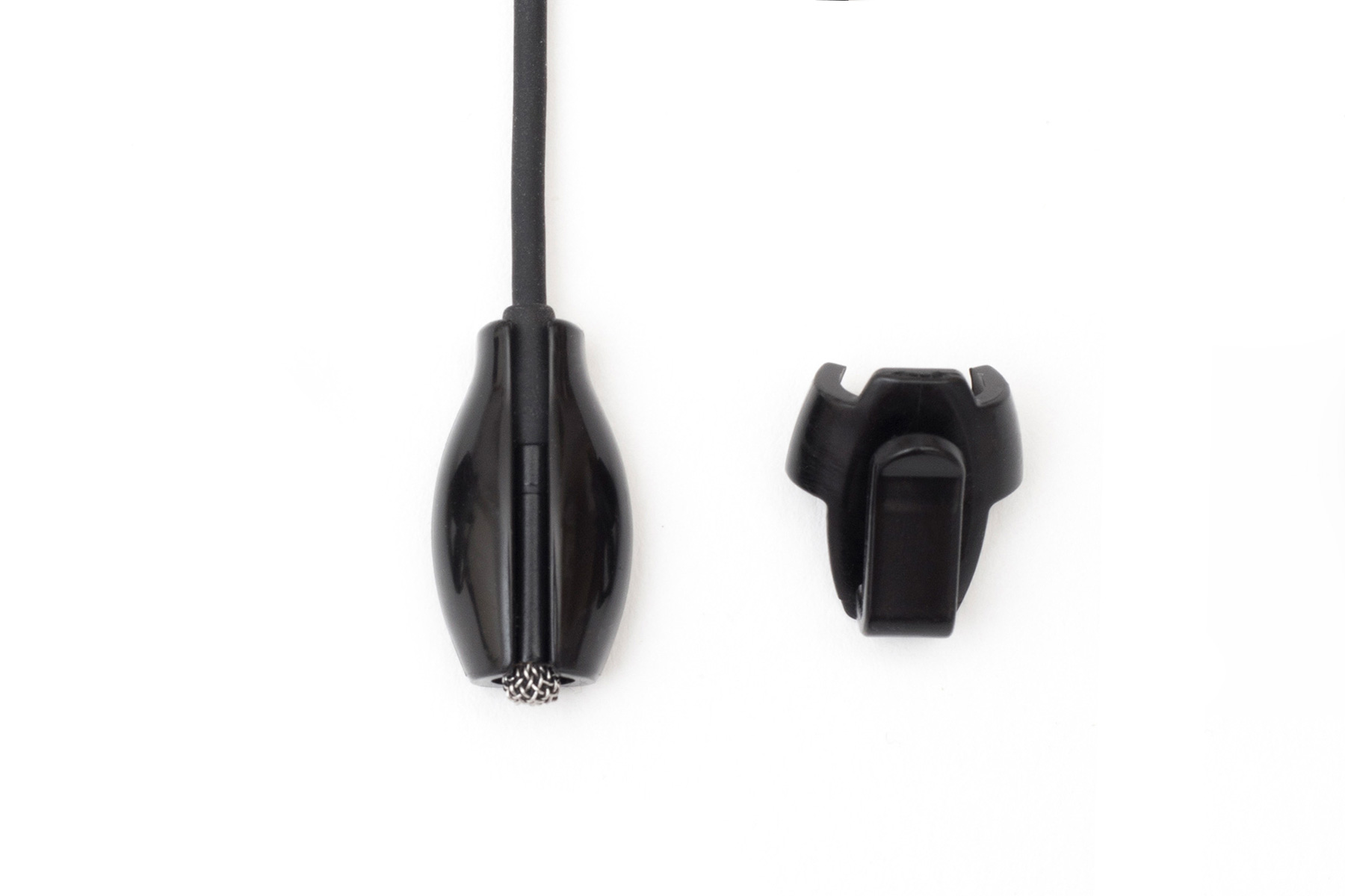 VIVIANA_Beetle_BRA_2