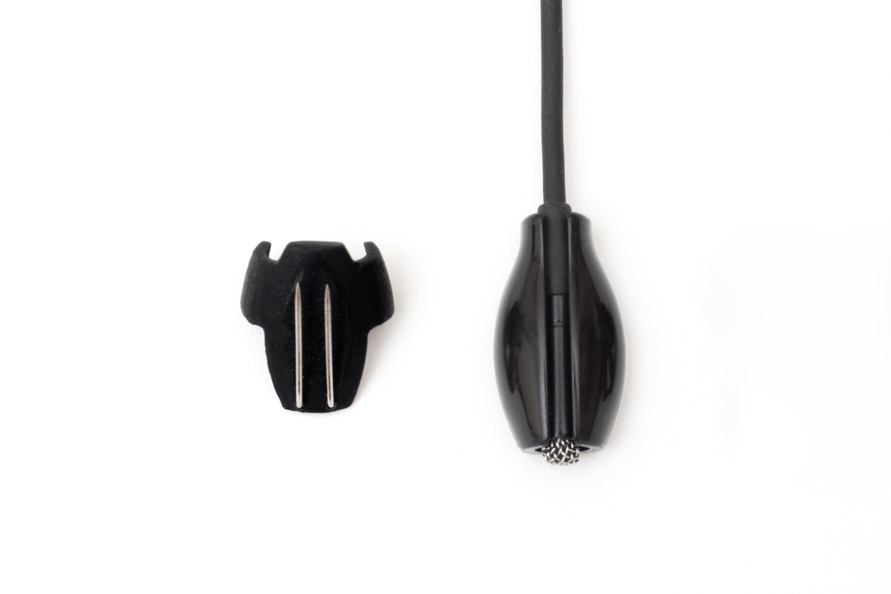 VIVIANA_Beetle_9-2